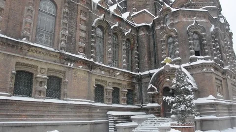 An unyielding blizzard 動画素材 85215874