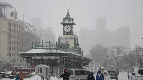 An unyielding blizzard 動画素材 85216353