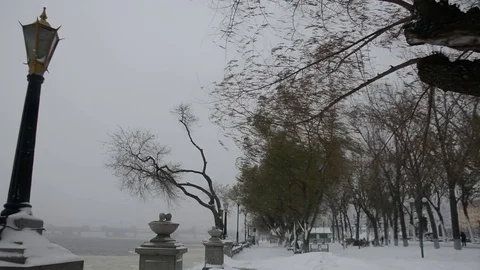 An unyielding blizzard Stock-Footage 85216818