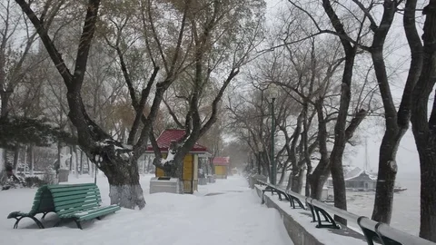 An unyielding blizzard 動画素材 85217066