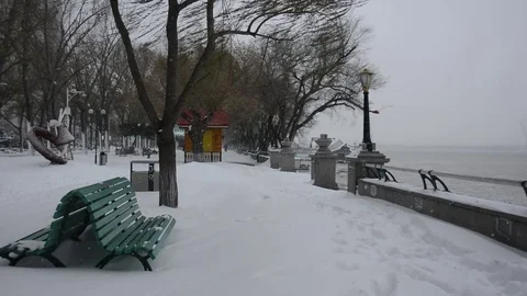 An unyielding blizzard Vídeo Stock 85217496