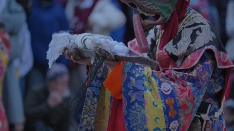 UP64 Video stock 327078113