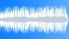 Upbeat Acoustic IndieStock Music