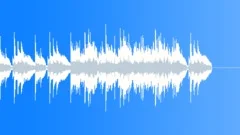UPBEAT WESTERN RIFFStock Music