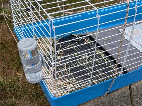 Upclose of an empty blue hamster cage outdoors with water bottle Stock Photos