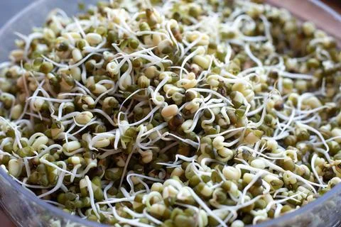 An upclose view of a bowl filled with assorted sprouts placed on a table Stock Photos
