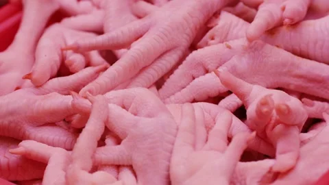 An upclose view of fresh raw chicken feet used for culinary purposes and cooking Stock Footage 278476609