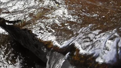 Upclose view of water flowing over a river rock Stock Footage 77491835
