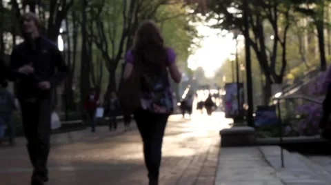UPenn Locust Walk 2 動画素材 3765599