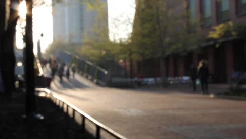 UPenn Locust Walk 動画素材 3727055