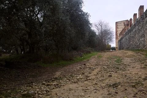 Uphill dirt path bordered by an olive tree grove and an ancient boundary wa.. Stock Photos