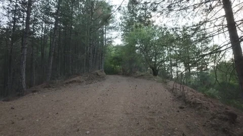 Uphill Mountain Path Through Mediterranean Pine Forest Late Afternoon 스톡 동영상 326165280