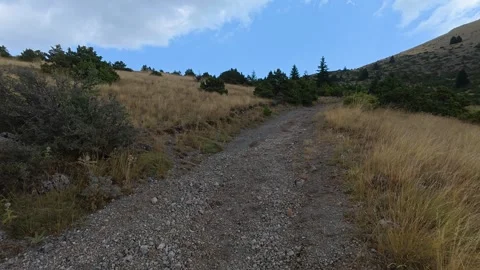 Uphill Mountain Track Through Alpine Field and Fir Slopes in Autumn Vídeo Stock 327560478