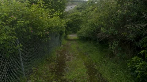 Uphill overgrown pathway 4K Stock Footage 168393447