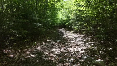 Uphill ridge 5-31-26 Stock Footage 336764242