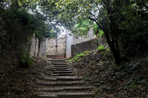 Uphill staircase bordered by stone walls in a grove with trees arching on it  Stock Photos