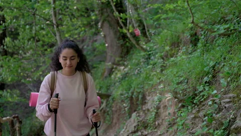 Uphill walk in the forest Stock Footage 163680114