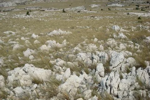 Upland rock platform Stock Photos