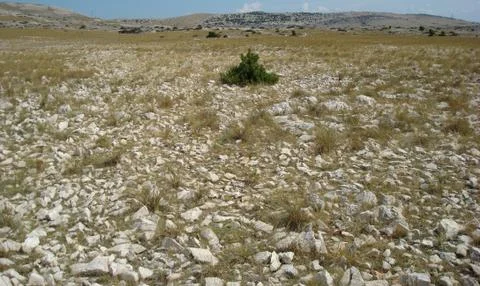 Upland rock platform Stock Photos