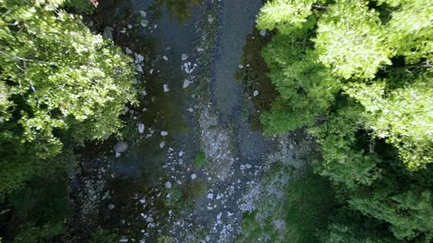 Uplifting Stream Bed Stock Footage 239292181