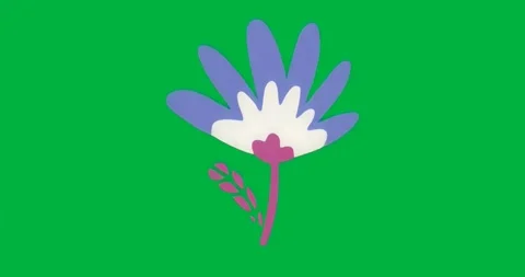 Upon frame loading, flower icon shimmering along petals on transparent Stock Footage 317456582