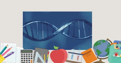 Upon loading DNA helix rotating above desk with stationary items illustrating Stock Footage 315559442