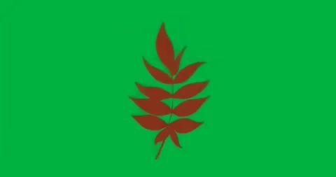Upon loading leaf pixel clusters shifting pulsing outward settling into glitch Stock Footage 317456484