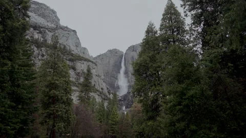 Upper and Lower Yosemite Falls between tall pines Stock-Footage 347986911