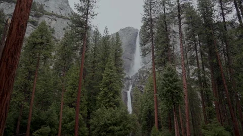 Upper and Lower Yosemite Falls through pine forest Stock-Footage 347987029