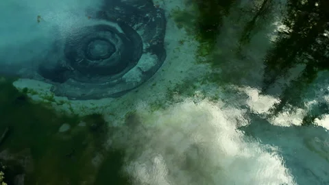 The upper angle of an unusual water surface. Reflection of the forest in the Stock Footage 198472442