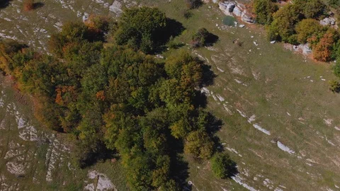 Upper autumn trees scattered on hill terraces under blue sky Stock Footage 103282996