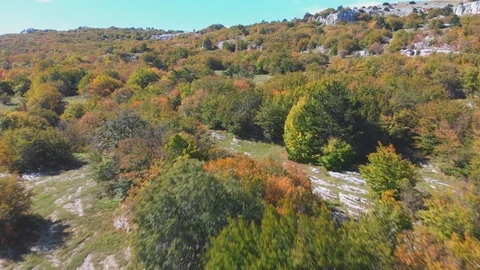 Upper autumn trees scattered on hill terraces under blue sky Stock Footage 103283130