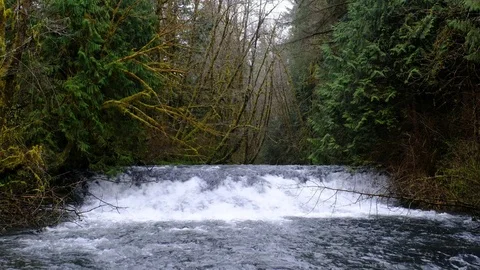 Upper Beaver Falls, Delena, Oregon Stock Footage 74240678