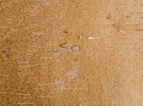 Upper birch bark with streaks Stock Photos