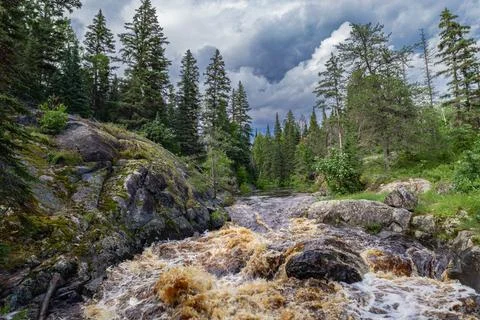 Upper Coca Cola Falls Forest Rapids Landscape in Manitoba, Canada Stock Photos