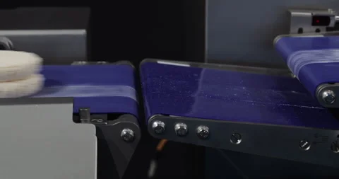 Upper conveyor places raw soft cheese heads onto lower piece from lower belt. Video stock 346229202