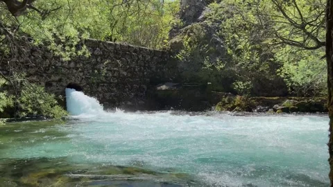 The upper course of the Zrmanja River and immediately after the source Stock Footage 297917860