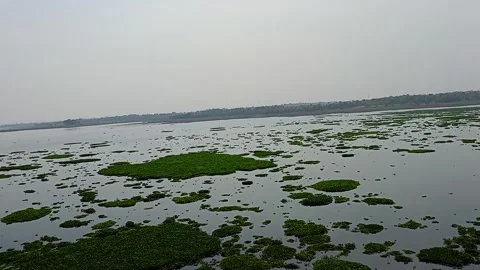 Upper Dam A Great View Of The Greenery Around Stock Footage 269800054