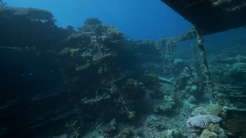 Upper deck ladder of the shipwreck Kingston, Red Sea, Egypt Stock Footage 105526884