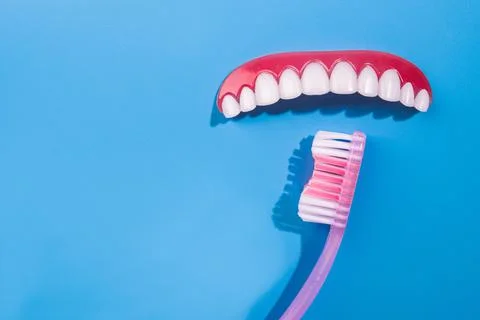 Upper denture of gums and teeth together with a toothbrush Stock Photos