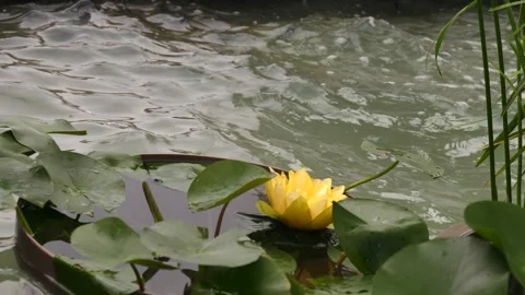 Upper edge of a pot which looks into a water basin that is very moving Stock Footage 143878899