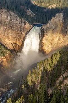 Upper falls view yellowstone Stock Photos