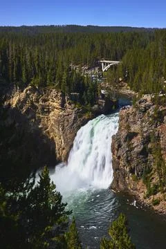 Upper Falls Waterfall and Forested Canyon with Bridge in Yellowstone National Stock-Fotos
