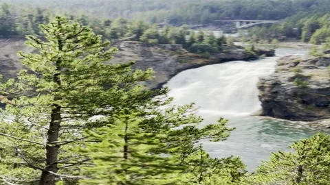 Upper Falls of the Yellowstone River with Pine Trees Stock Footage 348516468
