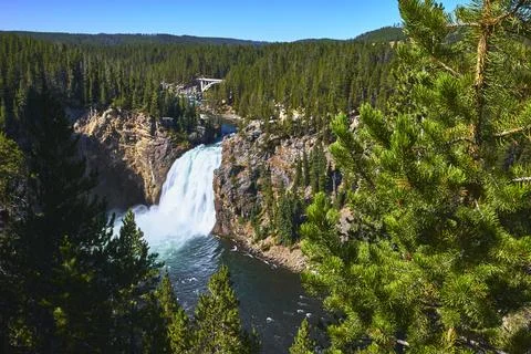 Upper Falls Yellowstone Waterfall and Pine Forest in Wyoming Landscape Stock Photos