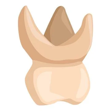 Upper first molar emerging from gums during teething process Illustrazione stock