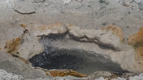 Upper Geyser Basin Stock Footage 115786708