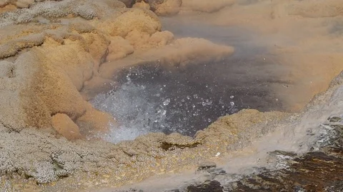 Upper Geyser Basin Stock Footage 115786804