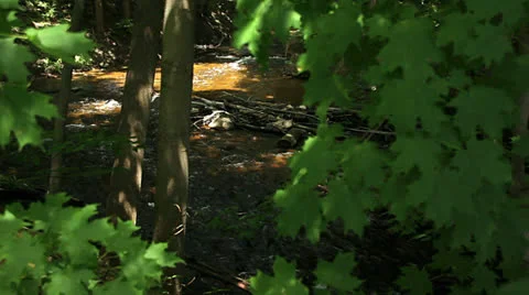 Upper Huron River Vídeos de archivo 26016474