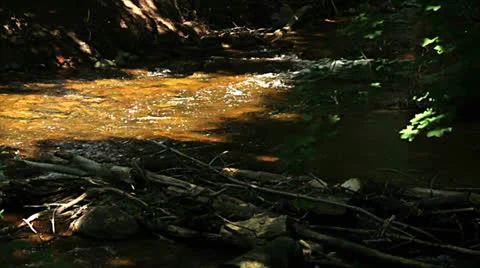 Upper Huron River - locked down Vídeos de archivo 26015595